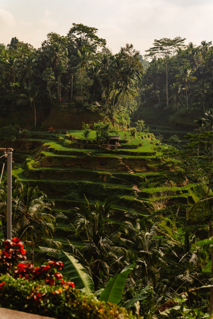 This image has an empty alt attribute; its file name is BALI_DAY-5-043-684x1024.jpg